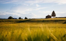 Bando-Lombardia-cotributo-investimenti-agricoli