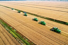 Innovazione e meccanizzazione nel settore agricolo e alimentare